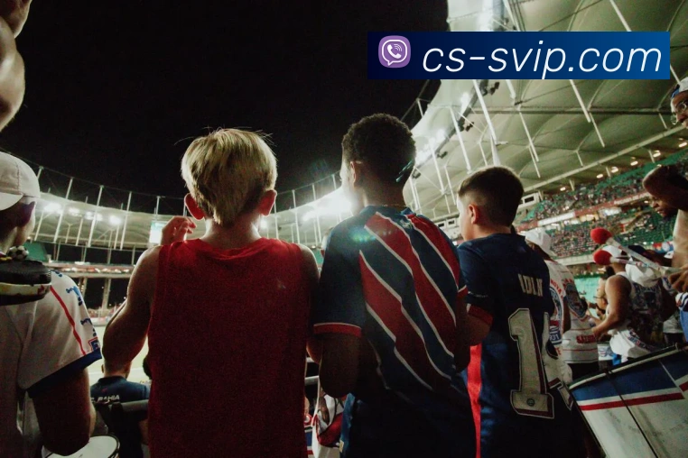 App Interface Preview