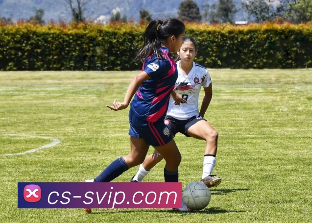 AG贵宾会官网APP 封面图